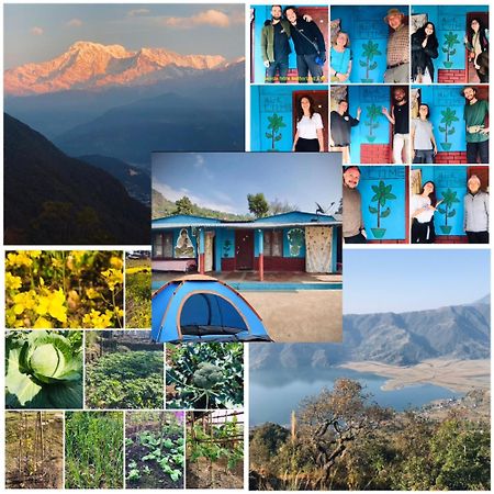 Hom'S Homestay & Farmstay Sarangkot פוקהרה מראה חיצוני תמונה