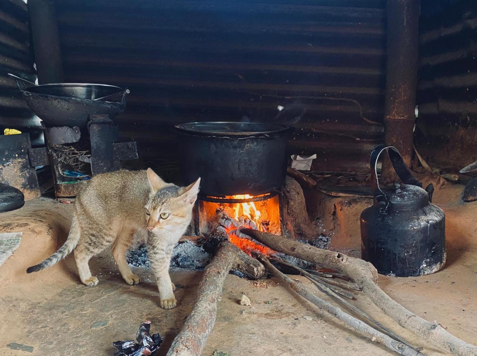 Hom'S Homestay & Farmstay Sarangkot פוקהרה מראה חיצוני תמונה